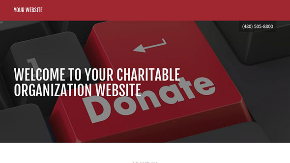 Charitable Organization Example 6