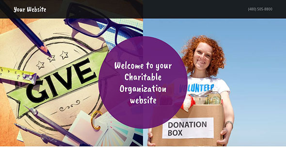 Charitable Organization Example 2

