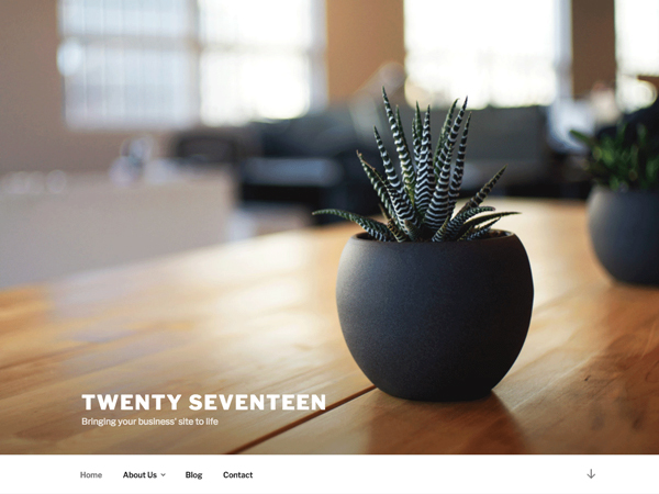 Wordpress Twenty Seventeen Theme